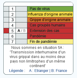grippe H1N1