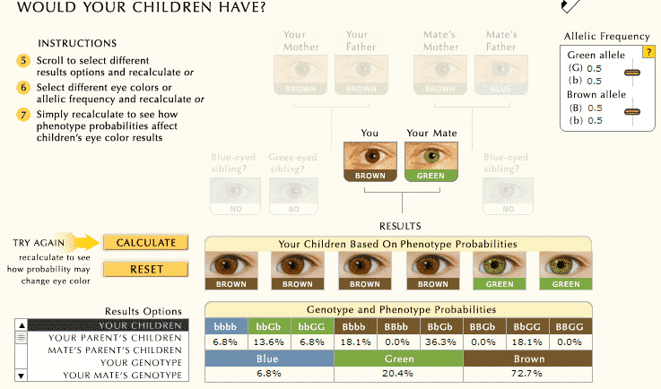 Quelle sera la couleur des yeux de vos enfants ?