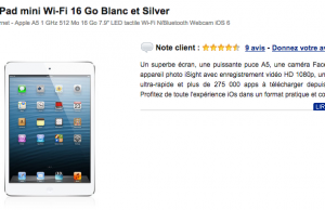 Apple iPad mini Wi-Fi 16 Go Blanc et Silver à 169 €