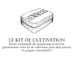 Hendrick’s offre des graines gratuites pour faire pousser des concombres