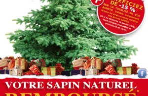 Les bons plans et promotions pour acheter son sapin de noël