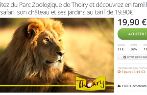 Groupon : Billet pour le parc zoologique de Thoiry en promotion à 19,90 € au lieu de 31 €